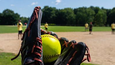 Friday's high school baseball and softball playoff scores