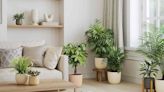 10 Creative Ways to Arrange Potted Plants Indoors and Outside