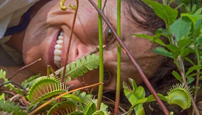 What do carnivorous plants and JFK have in common? The answer might surprise you.