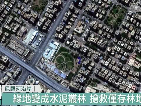 綠地變50℃水泥叢林 埃及沙漠化災難