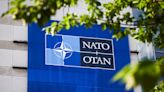 Fact Check Team: Why NATO's 75th anniversary is more relevant than ever