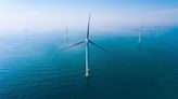 OW, Eneco and Otary’s consortium to bid for Belgian offshore wind farm