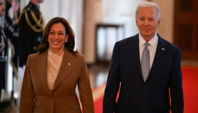 Older voters face new decision in November with Kamala Harris poised to lead Democratic ticket