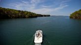 55-pound rabid beaver attacks young girl at Georgia lake before her father kills animal