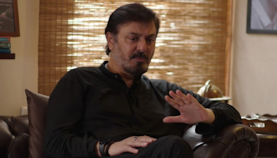 Pakistani Actor Slams Critics Of Anant Ambani's Lavish Wedding: 'Who You Are To Criticise?'