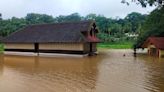 Rain continues to wreak havoc in Wayanad