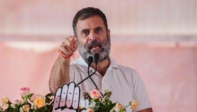 Rahul Gandhi wins Wayanad, Rae Bareli by huge margins