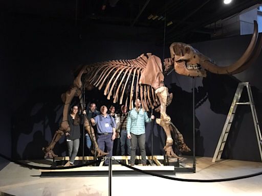 Mastodons, frequently found in Indiana, could become first “national fossil”