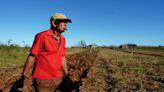 Scavenging for supplies, Cuba's tobacco farmers rebuild after Hurricane Ian