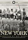 New York: A Documentary Film