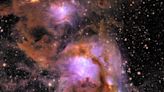 Massive cradle of baby stars revealed in new space telescope images