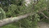 Maryland storms left behind damage in Carroll County neighborhoods: "This is total devastation"
