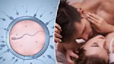 Male birth control could finally be a reality with gel that’s rubbed on shoulders