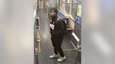 Man stole property from person on CTA Green Line train in Bronzeville: police