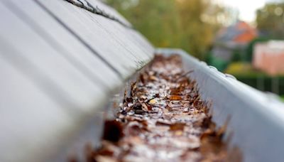 Pricewatch: Tempted to hire cold callers to clear your gutters? Just say no