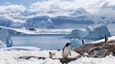 Boric se opone a la explotación petrolera en la Antártida: «Es un continente de ciencia y de paz», dijo tras el anuncio de Rusia - Diario Río Negro