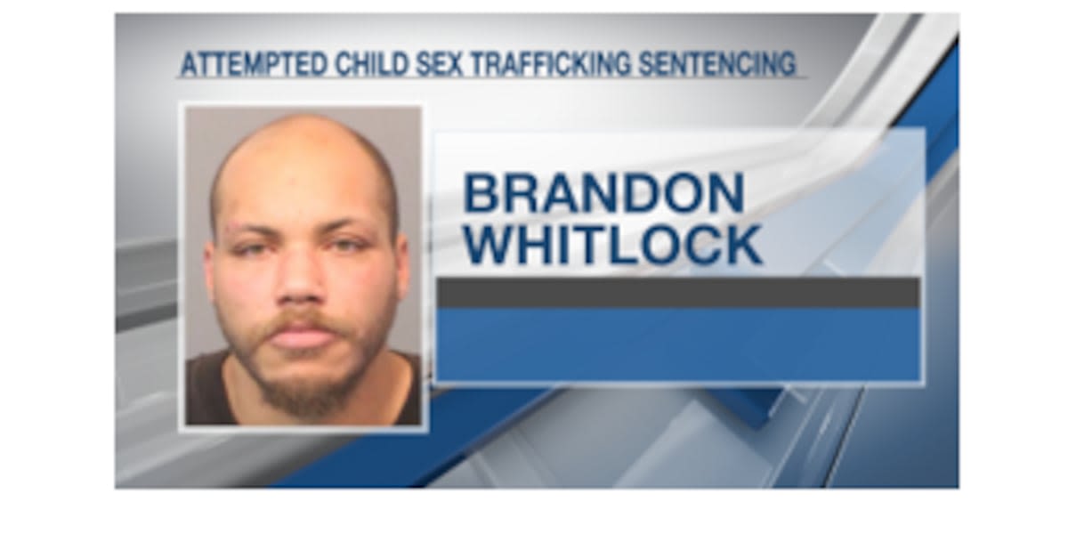 Man arrested during sex trafficking sting sentenced to four years probation