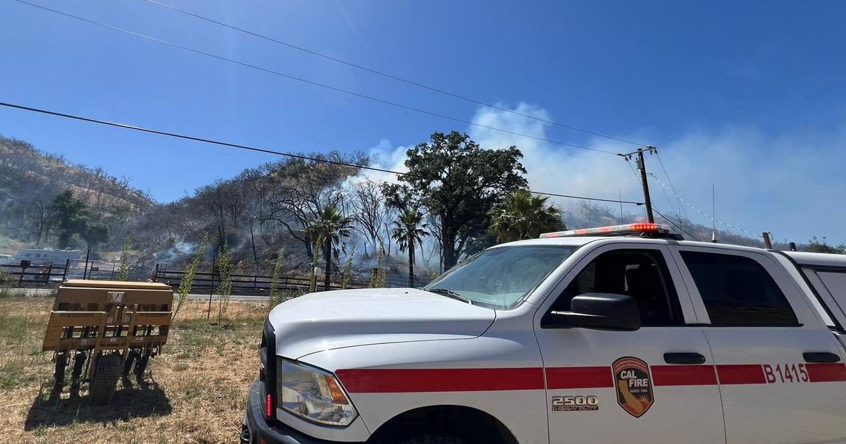 Crews stop progress of Cove Fire burning near Wragg Canyon Road in Napa County