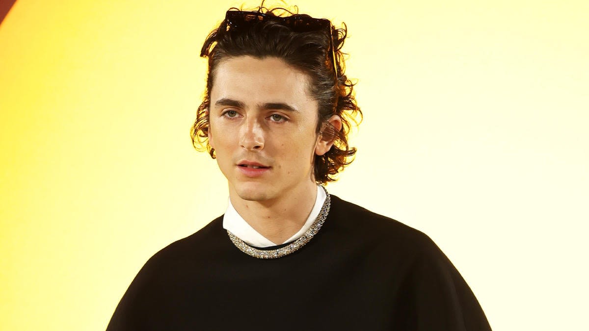 Timothée Chalamet to Star in New Movie From Uncut Gems Director