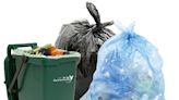 Black bin bags could be collected every four weeks in Carmarthenshire