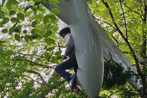 84-year-old glider pilot rescued in N.H. after crashing into tree - The Boston Globe