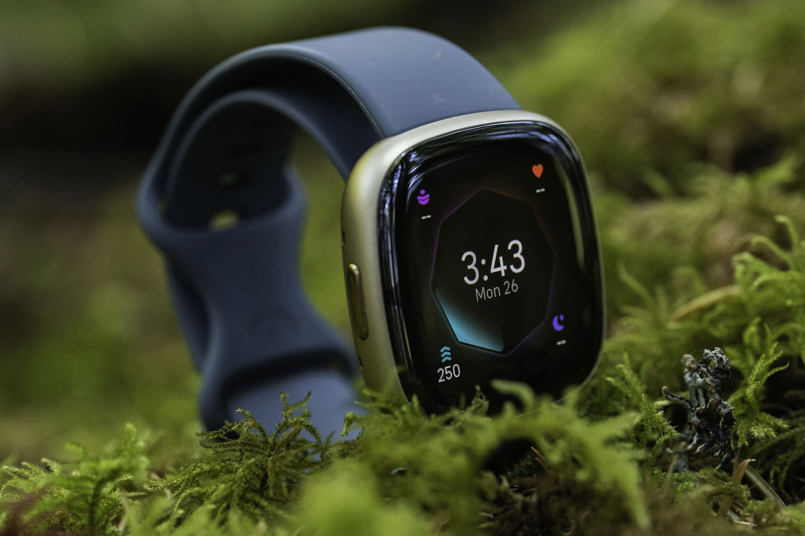 Best Fitbit deals: Save on Versa 4, Charge 6, and Sense 2