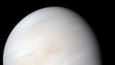 Gas detections on Venus raise questions of possibility of life