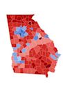 2022 Georgia state elections