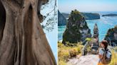 Check out Bali's official list of dos and don'ts for tourists, which includes a rule against climbing sacred trees