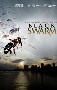 Black Swarm