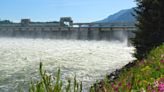 Washington congressman, others ramp up fight to save lower Snake River dams