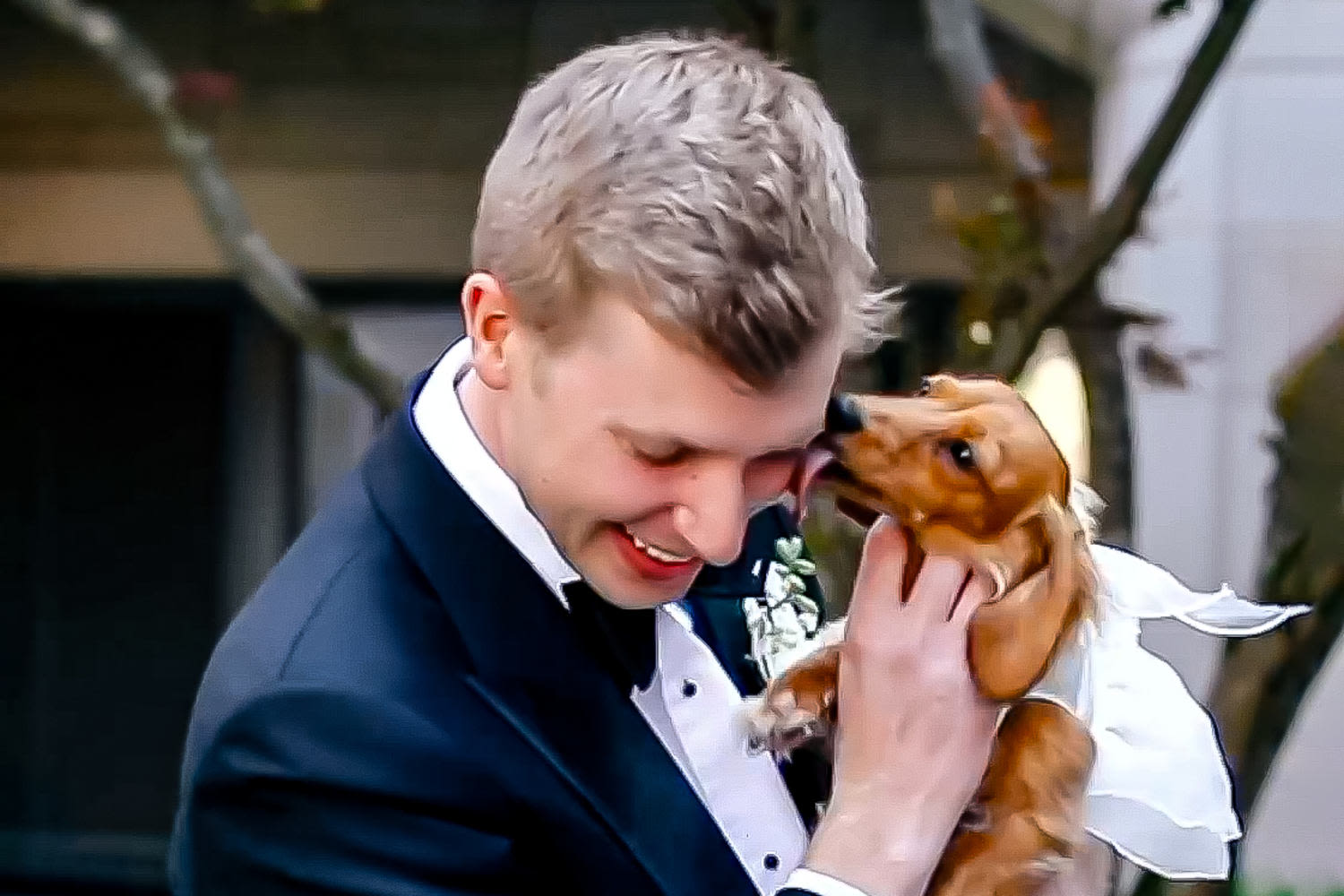 Video of groom turning for surprise first look with his puppy goes viral: 'I had no idea'