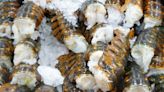 The Absolute Best Way To Thaw Frozen Lobster Tails