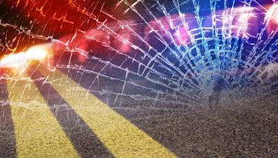 Man dies after hitting tree in LaPorte County