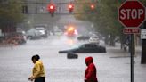 Submerged subways, flooded flight terminals, and escaped sea lions: New York has become Waterworld