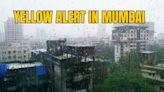 Mumbai Monsoon To Give Week-long Moderate Rainfall Amid Low Water Levels and Supply Cuts