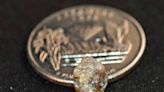 Man discovers 'big, ugly' 3.29-carat diamond at Arkansas state park: 'It was so shiny'