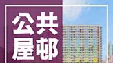 政府統計處夥中原地圖 發布按地理和樓宇組群劃分人口普查統計數字