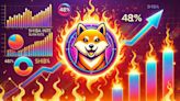 Shiba Inu (SHIB) Burn Rate Soars 482%, Sparking Renewed Interest - EconoTimes