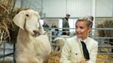 Visitors out in force despite damp start to Great Yorkshire Show
