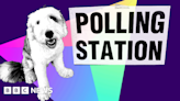 Polling station pets include dogs, horse and snake