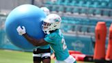 Dolphins minicamp: QB Tua Tagovailoa has productive day, other observations and anecdotes from Day 1