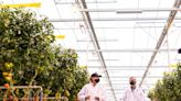 Here’s who will likely own AppHarvest’s greenhouses after bankruptcy auction