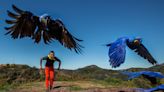 He wants L.A. to love macaws as much as it loves dogs. Will free flying do the trick?