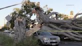 Toppled scaffolding, canceled beach festival, brush fires: Strong winds stir trouble for SoCal