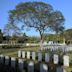 Delhi War Cemetery