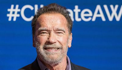 Aposentada perde R$ 238 mil em golpe que pedia ajuda para Arnold Schwarzenegger