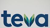 Teva Pharm to stay as unified drugmaker, sees big interest in API business, says CEO