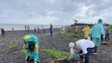 逾三百志工冒雨枋寮漁港淨灘 清除四百公斤海廢垃圾