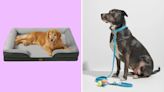 National Pet Day deals: Save at Amazon, Chewy, Target, Petco, and more